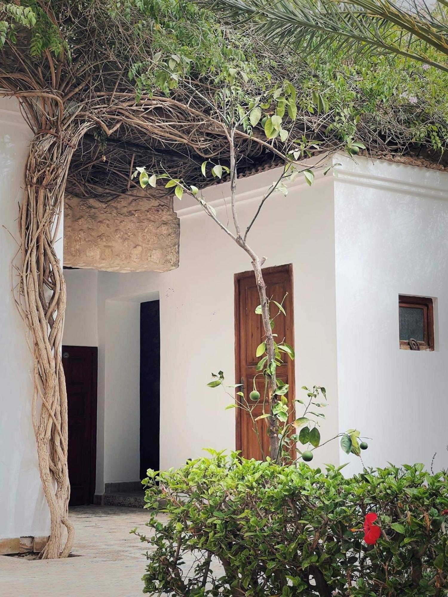 Chateau D'Orient Bed & Breakfast Essaouira Exterior photo